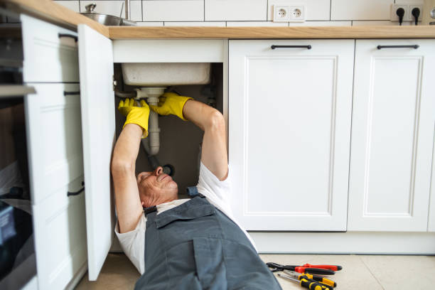 Best Toilet Repair Services  in Millbury, OH